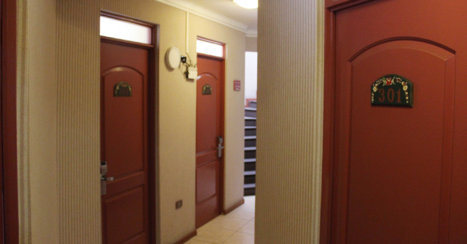 Suite Junior
